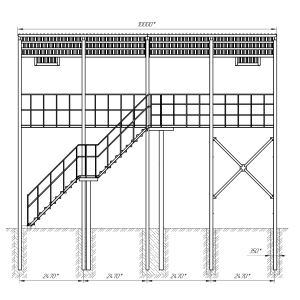 Эстакада досмотровая железнодорожная ЦСБД.950.24.000 (по ЦСБД.305166.001 ТУ)