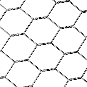 Защитная сеть Манье